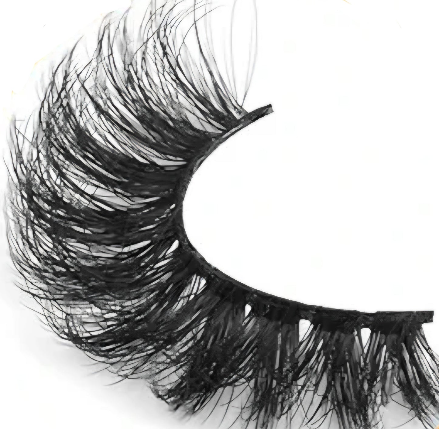 WindStar Lash style